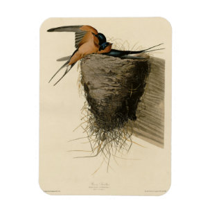 Magnet Flexible Hirondelle de grange des oiseaux d'Amérique d'Audu