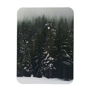 Magnet Flexible Hiver dans la forêt de montagne, Oregon