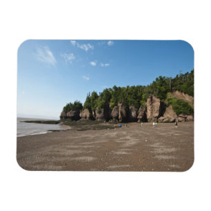 Magnet Flexible Hopewell Rocks and The Ocean Tidal Exploration