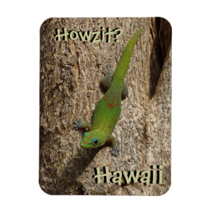Magnet Flexible Howzit Hawaii gecko rectangle tropical aimant