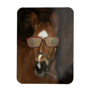 Magnet Flexible Humour Cheval Foie Fumer Cigar Aimant Flexible