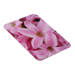 Magnet Flexible hyacinthe rose