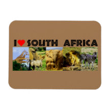 I Heart Afrique du Sud Photos de la faune