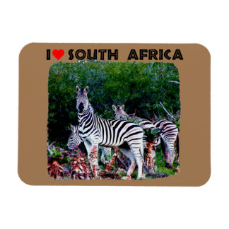 Magnet Flexible I Heart Afrique du Sud Zebra Aloe