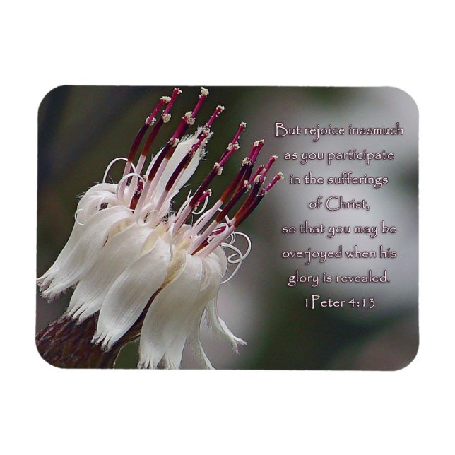 Magnet Flexible I Pierre 4:13 Inspirationnel Floral (Horizontal)