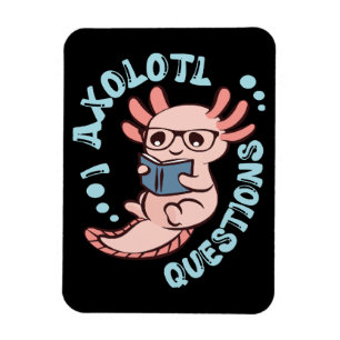 Magnet Flexible I Questions Axolotl