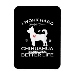 Magnet Flexible I Work Hard So