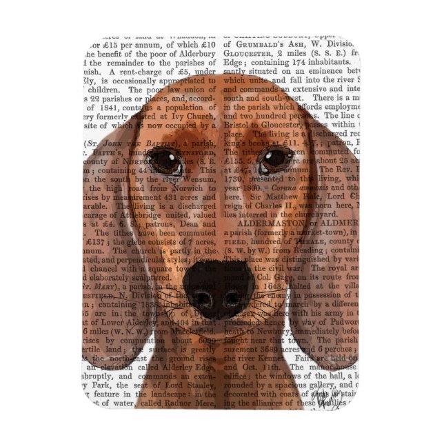 Magnet Flexible Illustration Dachshund Plain (Vertical)