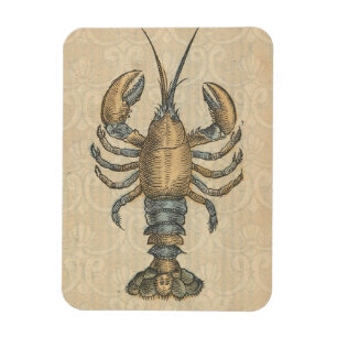 Magnet Flexible Illustration de homard vintage : damas côtier