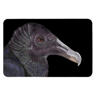 Magnet Flexible Illustration du vautour noir