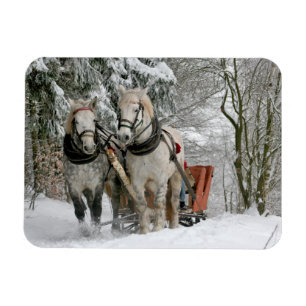 Magnet Flexible Image couleur de la plage de neige d'hiver