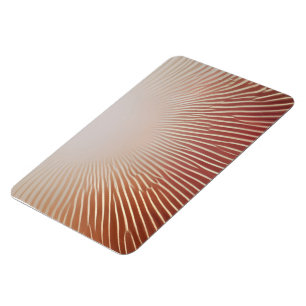 Magnet Flexible Impressions photos