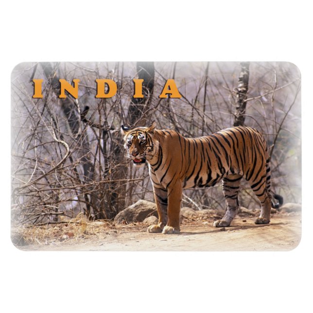 Magnet Flexible Inde (Horizontal)