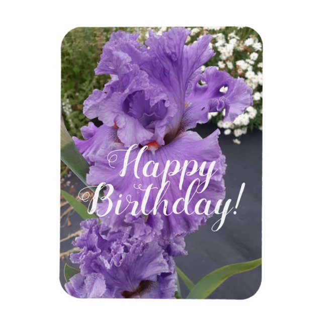 Magnet Flexible Iris Irises Fleur violet Carte d'anniversaire (Vertical)
