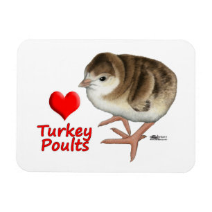 Magnet Flexible J'Aime Les Volets De Turquie !