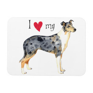 Magnet Flexible J'aime mon collie lisse