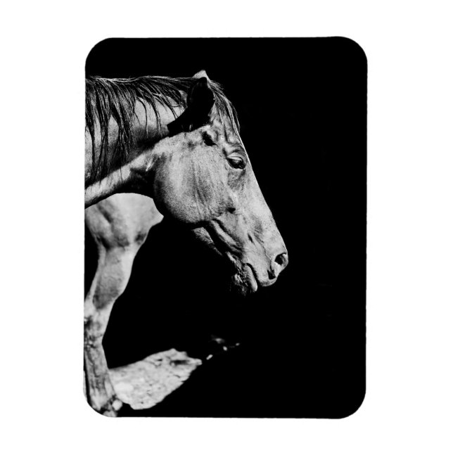 Magnet Flexible jambe de tête de cheval (Vertical)