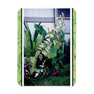 Magnet Flexible Jardin Aimant-Tropical