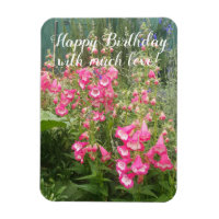 Jardin de fleurs Penstemon Jardin fleuri Joyeux an