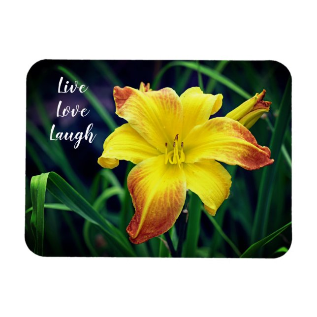 Magnet Flexible Jaune et orange Daylily Motivational (Horizontal)