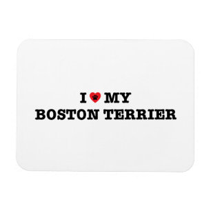 Magnet Flexible J'Coeur Mon Boston Terrier Aimant Flexible