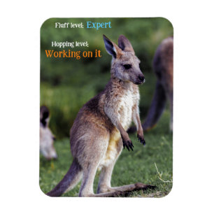 Magnet Flexible Joie moelleuse mignonne Kangaroo