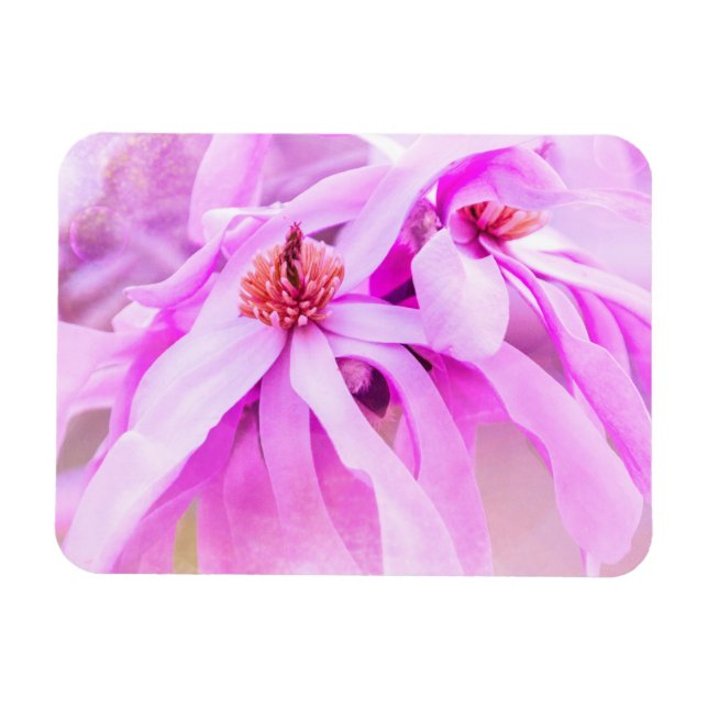 Magnet Flexible Jolie floraison rose (Horizontal)