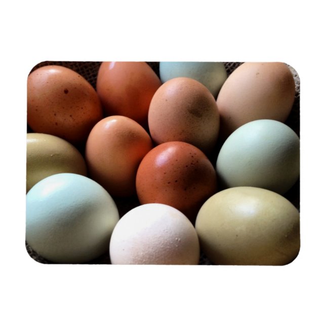 Magnet Flexible Jolies Oeufs De La Ferme De Poulet (Horizontal)