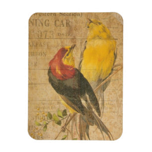 Magnet Flexible Jolies oiseaux