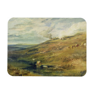 Magnet Flexible Joseph Mallord William Turner   Dartmoor : L'aigre