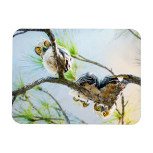 Magnet Flexible Jote Baby Ows Wildlife Photography
