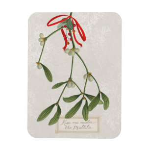 Magnet Flexible Joyeuses Tidings   Embrasse-Moi Sous La Mistletoe