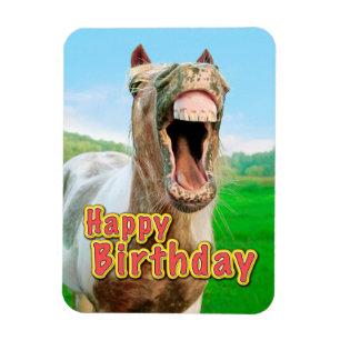 Magnet Flexible Joyeux anniversaire de la Happy horse