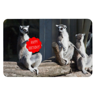 Magnet Flexible Joyeux anniversaire Katta