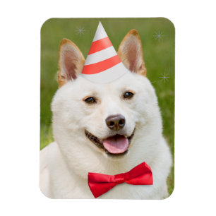Magnet Flexible Joyeux Anniversaire N'Importe Qui Shiba Inu Chien 