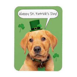 Magnet Flexible Joyeux St Patrick's Day mignonne Labrador Chiot