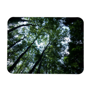 Magnet Flexible Jungle 3"" aimant x4