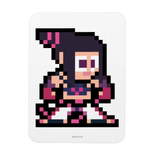 Magnet Flexible Juri à 8 bits