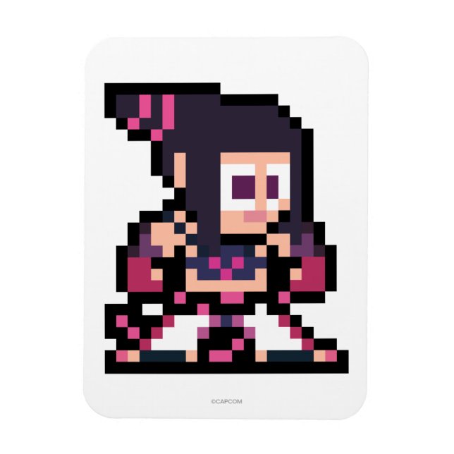 Magnet Flexible Juri à 8 bits (Vertical)