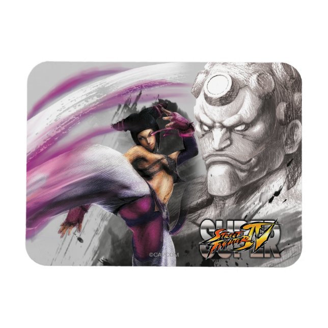 Magnet Flexible Juri Vs. Hakan (Horizontal)