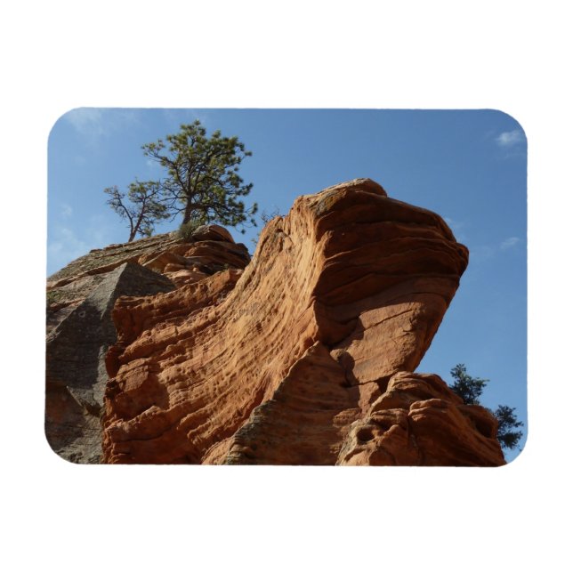 Magnet Flexible Jusqu'à Angels Landing dans le parc national de Si (Horizontal)