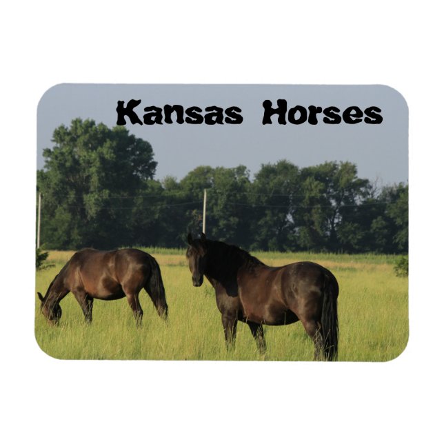 Magnet Flexible Kansas Chevaux dans un pâturage (Horizontal)