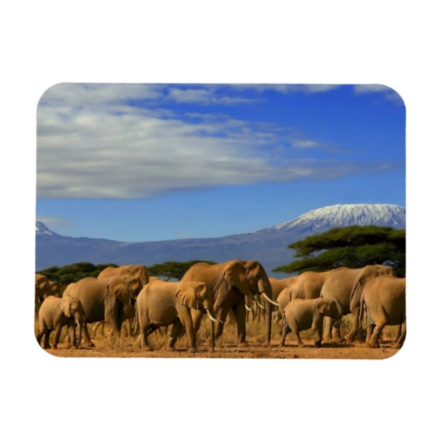 Magnet Flexible Kilimandjaro Et Éléphants (Horizontal)