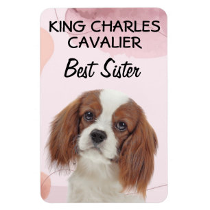 Magnet Flexible King Charles Cavalier