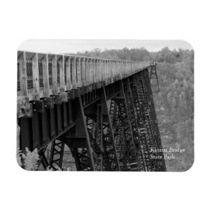 Magnet Flexible Kinzua Bridge Skywalk B&W Automne Souvenir Frigo