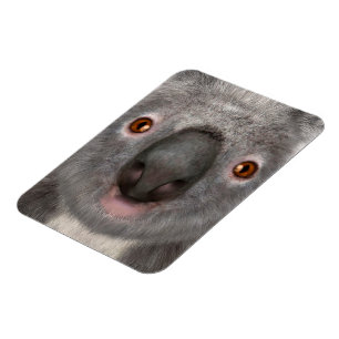 Magnet Flexible Koala