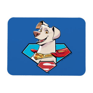 Magnet Flexible Krypto S-Shield Graphic
