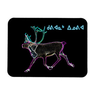 Magnet Flexible Kuvianak Innovia - Caribou électrique