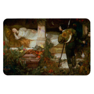 Magnet Flexible La Belle au Bois Dormant (Scène de Conte de Fées E