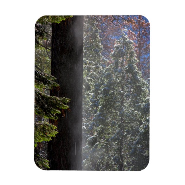 Magnet Flexible La brume neigeuse dans la forêt (Vertical)